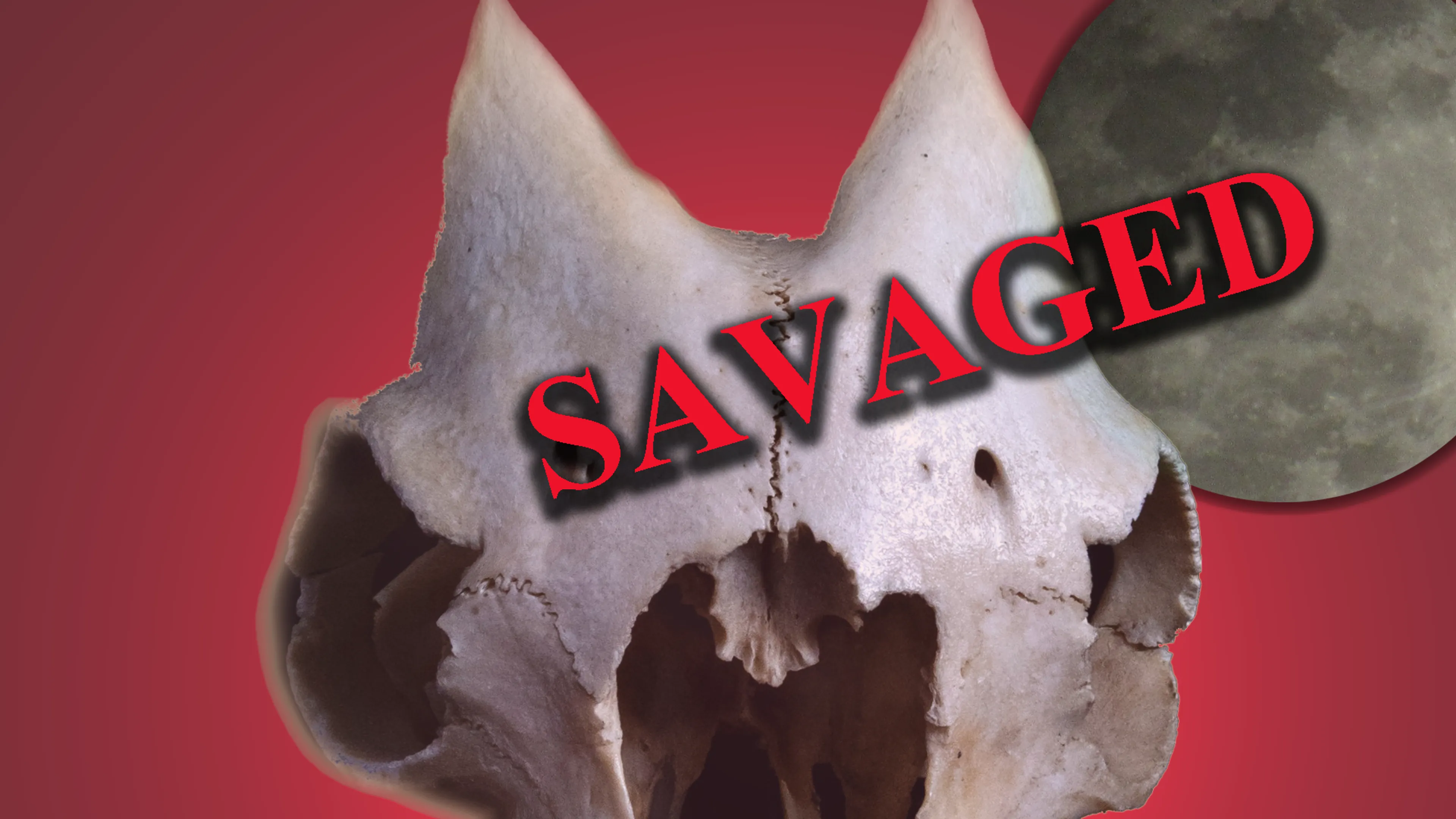 Savaged poster